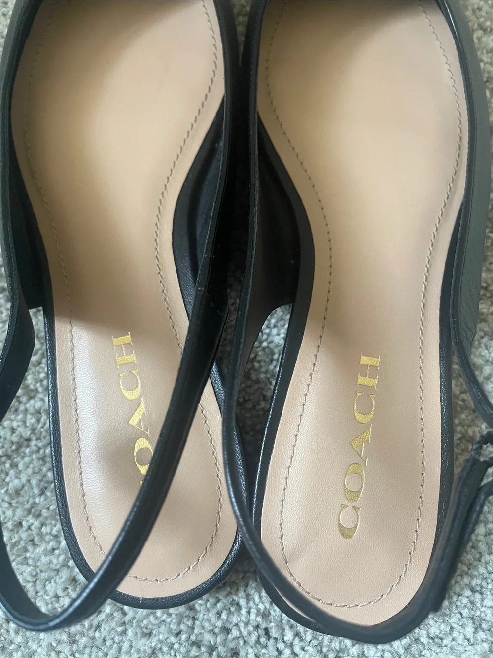 Coach nwot veronica